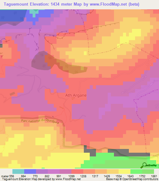 Taguemount,Algeria Elevation Map