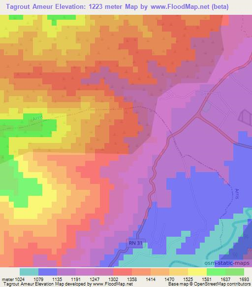 Tagrout Ameur,Algeria Elevation Map