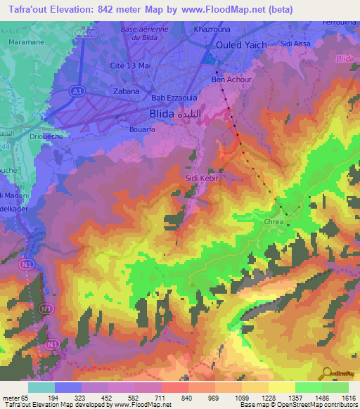 Tafra'out,Algeria Elevation Map