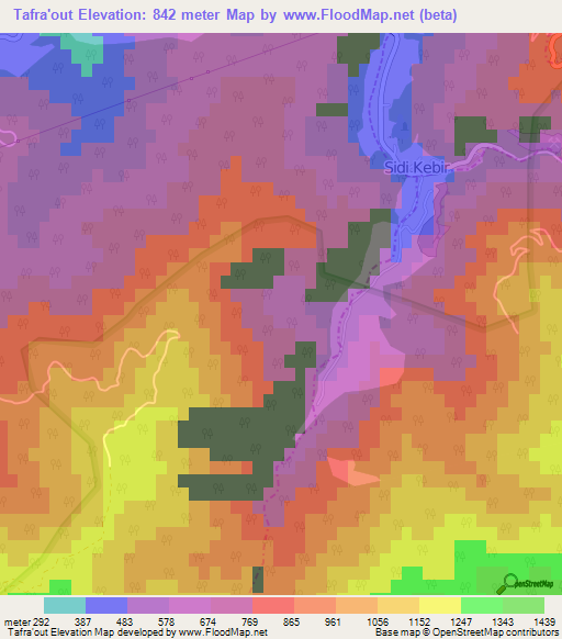 Tafra'out,Algeria Elevation Map