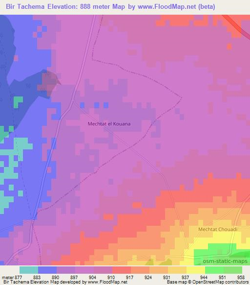 Bir Tachema,Algeria Elevation Map