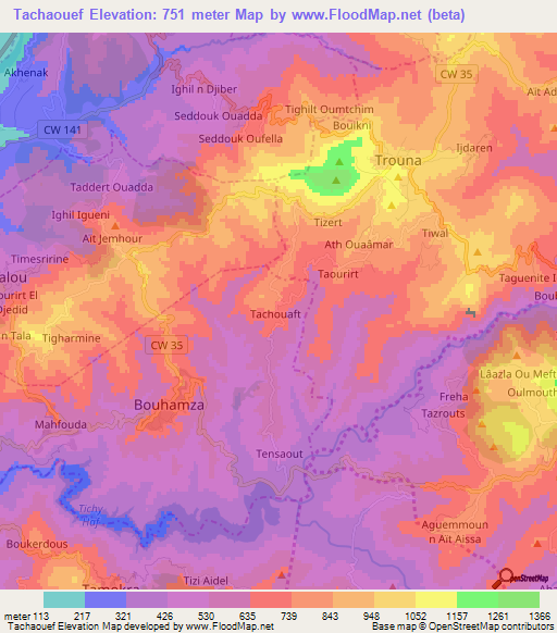 Tachaouef,Algeria Elevation Map