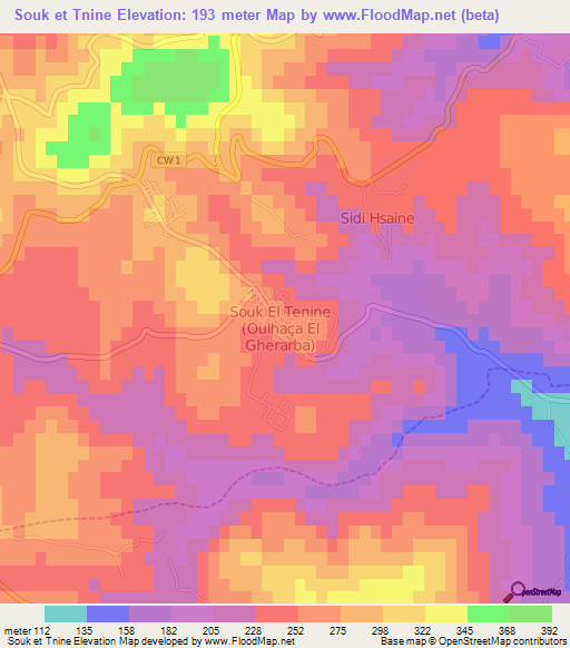 Souk et Tnine,Algeria Elevation Map