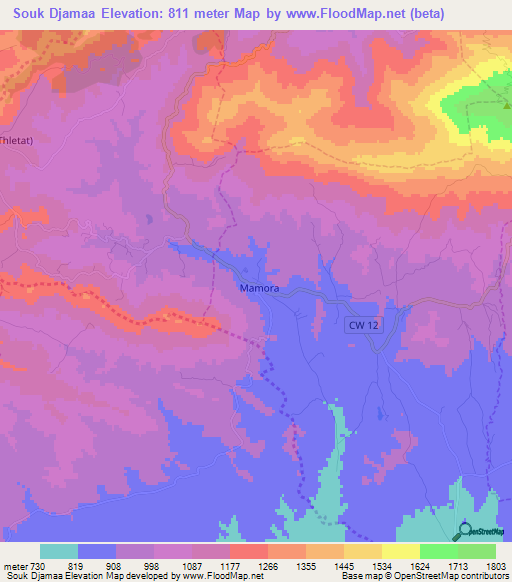 Souk Djamaa,Algeria Elevation Map