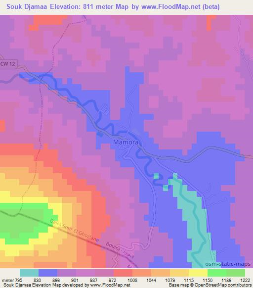 Souk Djamaa,Algeria Elevation Map