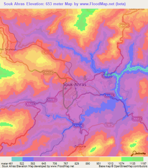 Souk Ahras,Algeria Elevation Map