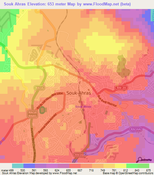Souk Ahras,Algeria Elevation Map