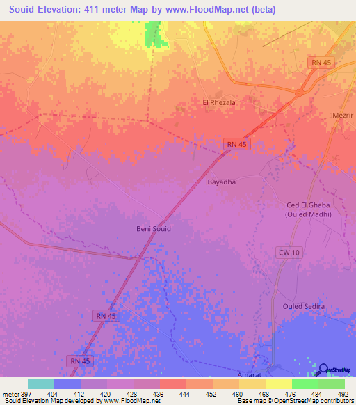 Souid,Algeria Elevation Map