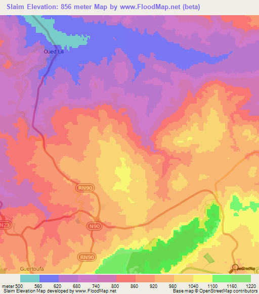 Slaim,Algeria Elevation Map