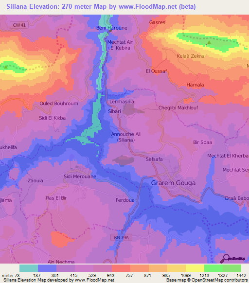 Siliana,Algeria Elevation Map