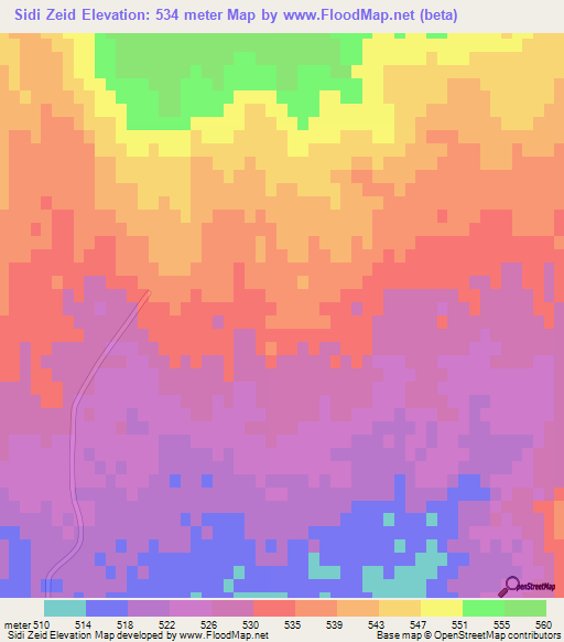 Sidi Zeid,Algeria Elevation Map