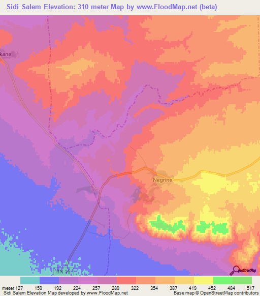 Sidi Salem,Algeria Elevation Map