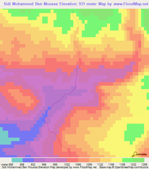 Sidi Mohammed Ben Moussa,Algeria Elevation Map