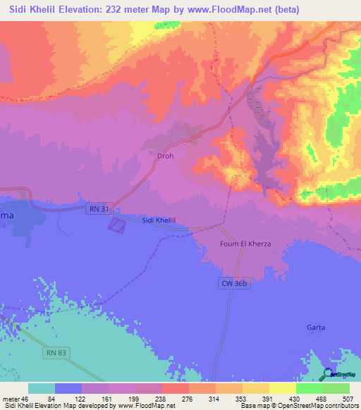 Sidi Khelil,Algeria Elevation Map