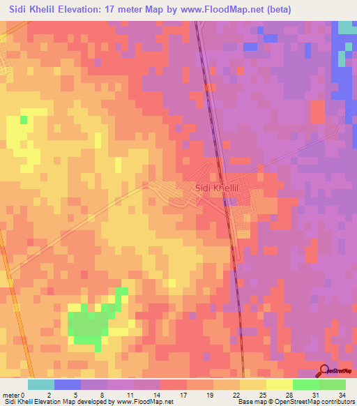 Sidi Khelil,Algeria Elevation Map
