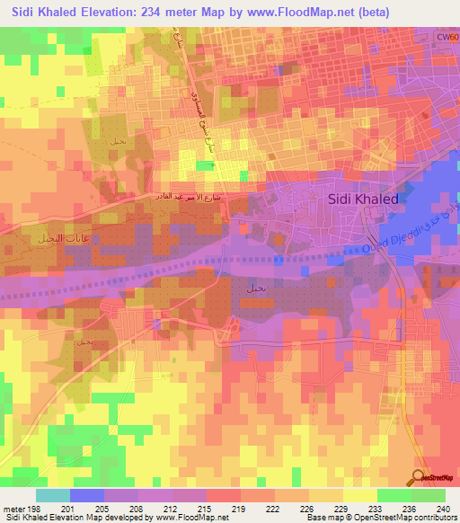 Sidi Khaled,Algeria Elevation Map