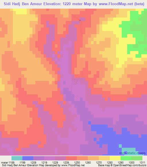 Sidi Hadj Ben Ameur,Algeria Elevation Map