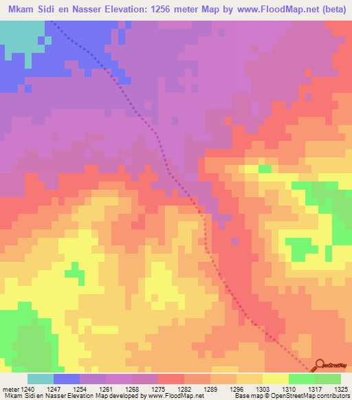 Mkam Sidi en Nasser,Algeria Elevation Map