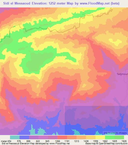 Sidi el Messaoud,Algeria Elevation Map