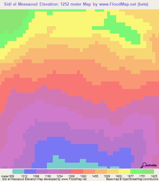 Sidi el Messaoud,Algeria Elevation Map