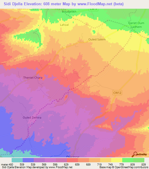 Sidi Djella,Algeria Elevation Map
