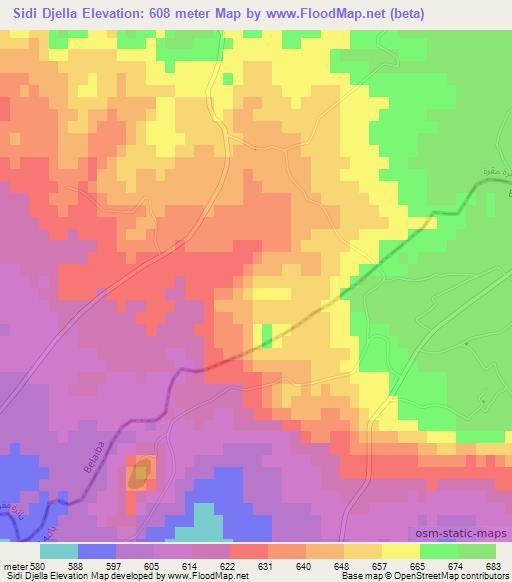Sidi Djella,Algeria Elevation Map