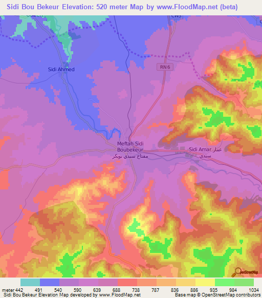 Sidi Bou Bekeur,Algeria Elevation Map