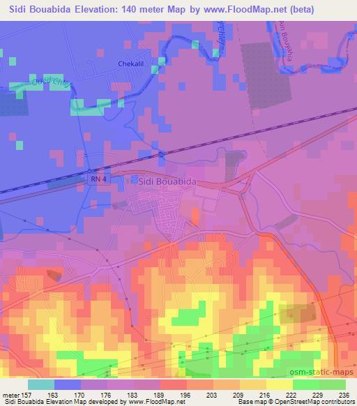 Sidi Bouabida,Algeria Elevation Map