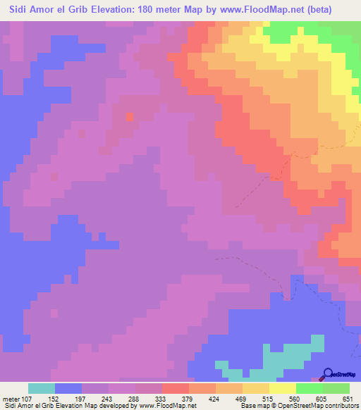 Sidi Amor el Grib,Algeria Elevation Map
