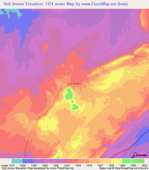 Sidi Ameur,Algeria Elevation Map