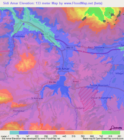 Sidi Amar,Algeria Elevation Map