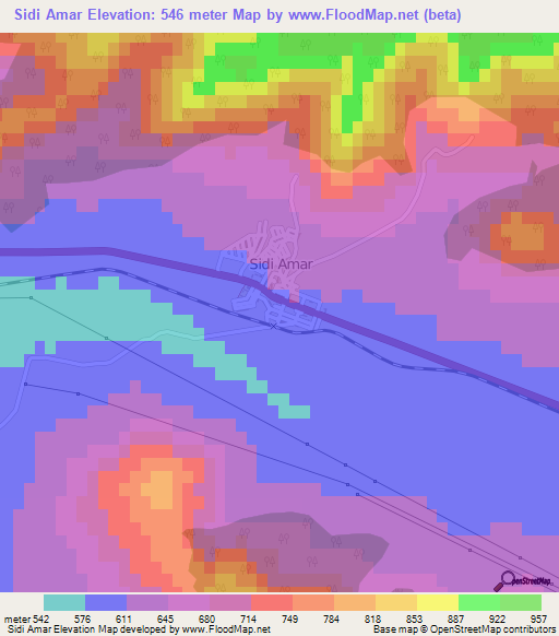 Sidi Amar,Algeria Elevation Map