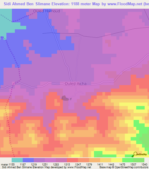 Sidi Ahmed Ben Slimane,Algeria Elevation Map