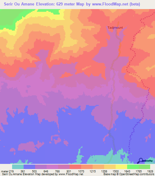 Serir Ou Amane,Algeria Elevation Map