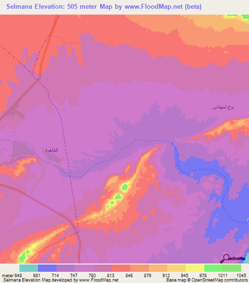 Selmana,Algeria Elevation Map
