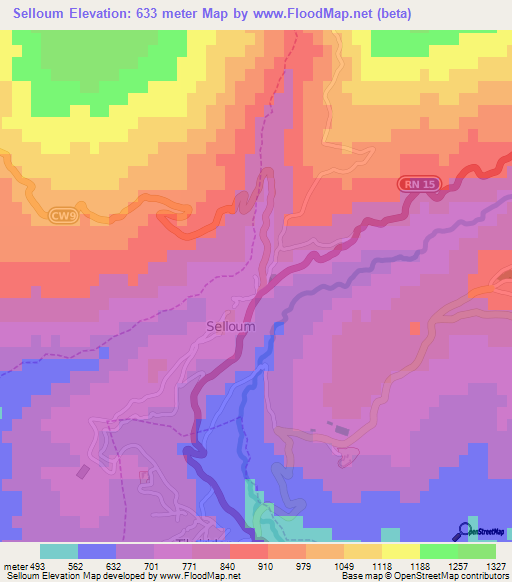 Selloum,Algeria Elevation Map