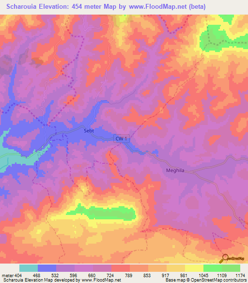 Scharouia,Algeria Elevation Map