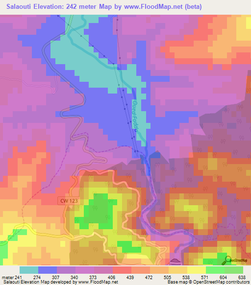 Salaouti,Algeria Elevation Map