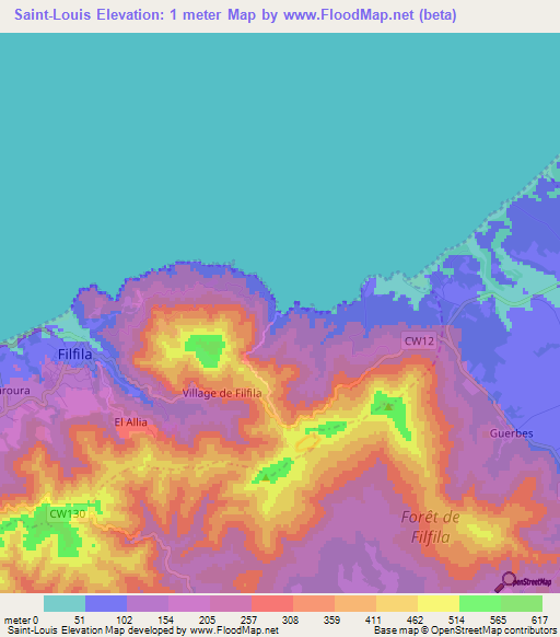 Saint-Louis,Algeria Elevation Map