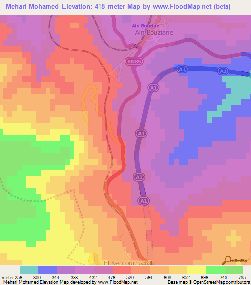 Mehari Mohamed,Algeria Elevation Map