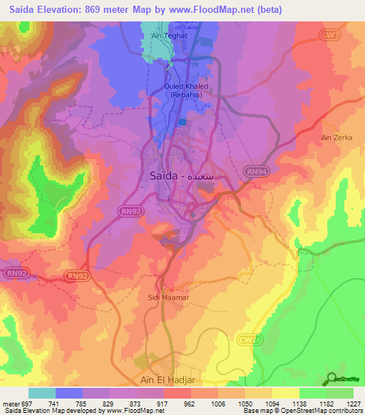 Saida,Algeria Elevation Map