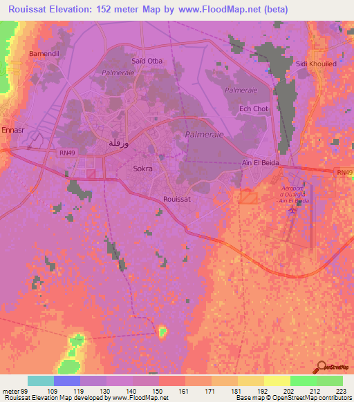 Rouissat,Algeria Elevation Map