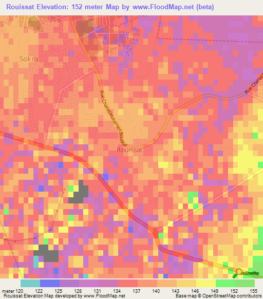 Rouissat,Algeria Elevation Map