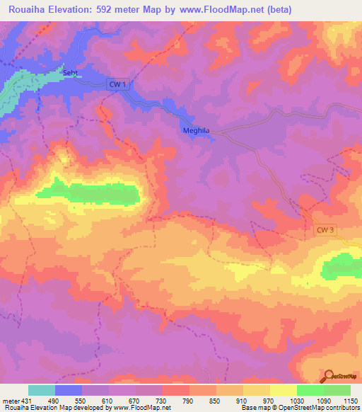 Rouaiha,Algeria Elevation Map