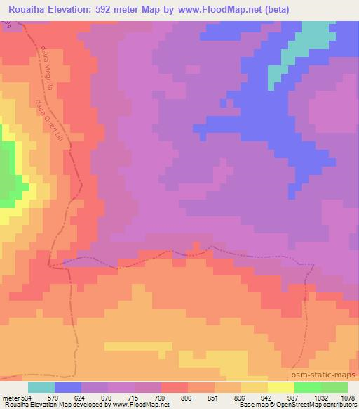 Rouaiha,Algeria Elevation Map
