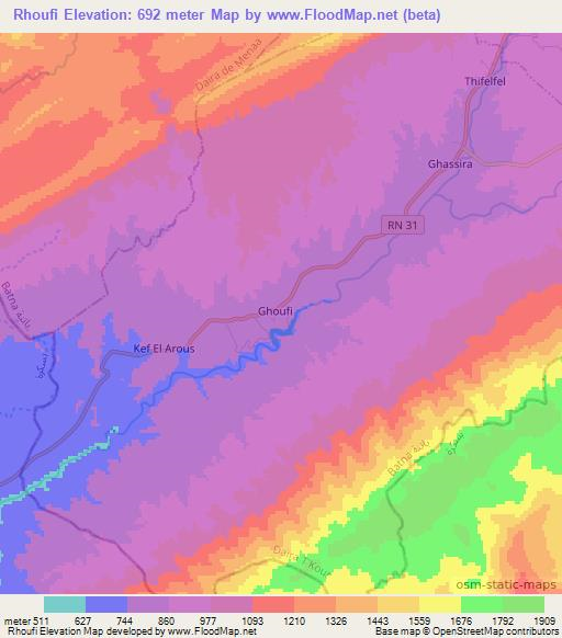 Rhoufi,Algeria Elevation Map