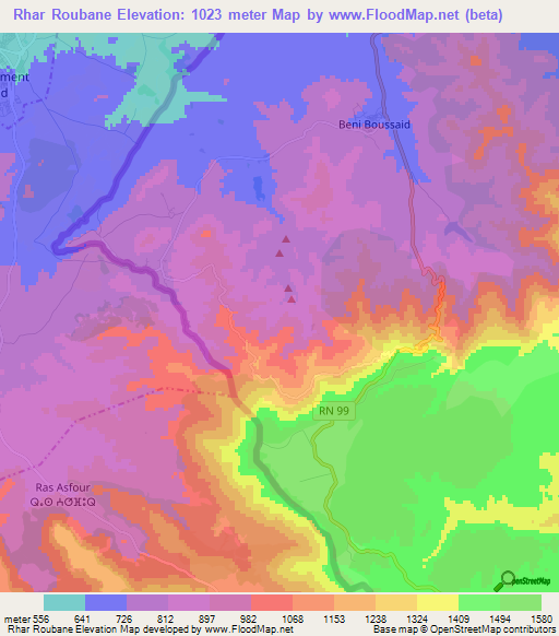 Rhar Roubane,Algeria Elevation Map