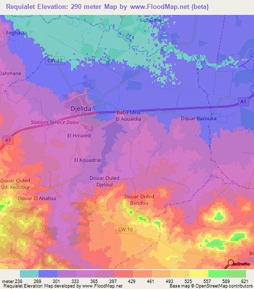 Requialet,Algeria Elevation Map
