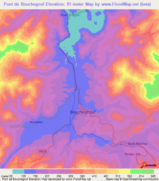 Pont de Bouchegouf,Algeria Elevation Map