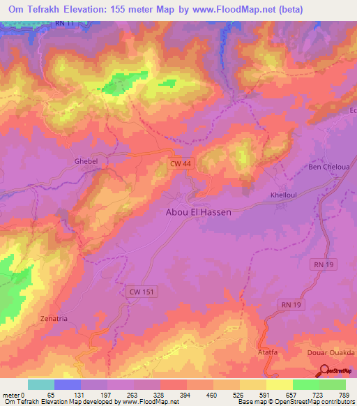 Om Tefrakh,Algeria Elevation Map
